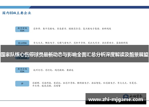 国家队核心伤停球员最新动态与影响全面汇总分析深度解读及前景展望