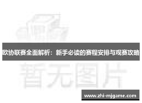 欧协联赛全面解析：新手必读的赛程安排与观赛攻略